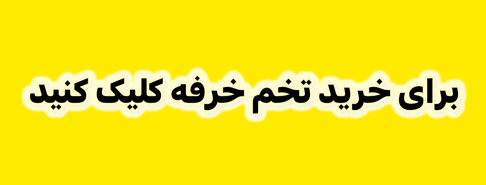 خرید تخم خرفه نیوشا